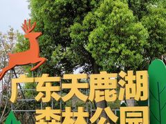 -天鹿湖森林公园