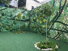 -都念榴莲·城市榴莲