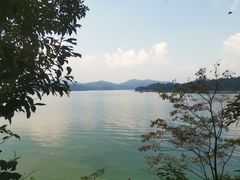-广州市流溪河国家森林公园