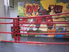 -大焱搏击·泰拳·拳击俱乐部(大柏树店)