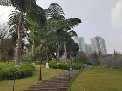-龙头寺公园