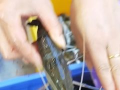 -蟹天蟹地农家菜·阳澄湖大闸蟹(浅水湾店)