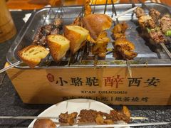 -福苗小骆驼烧烤(曲江店)
