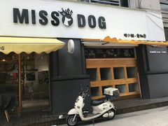 -诺诺宠屋(欧洲城店)