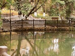 -成都市活水公园