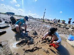 -南汇嘴观海公园