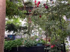 -臭鳜鱼人家·老字号徽菜