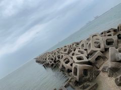 -东疆建设开发纪念公园