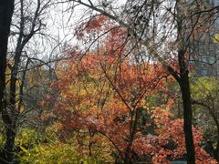 -元大都城垣遗址公园