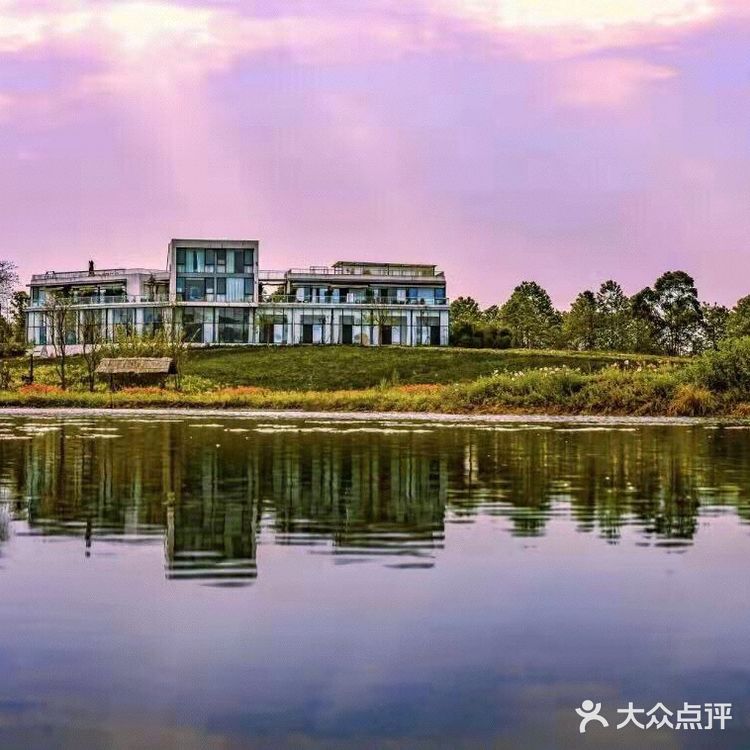 成都周边/花海里邂逅一场黄昏日落