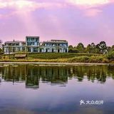 成都周边/花海里邂逅一场黄昏日落
