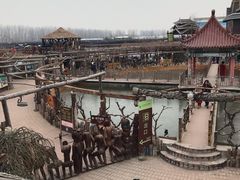 -呀路古热带植物园