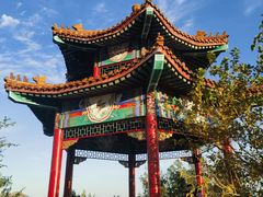 -白水寺森林公园