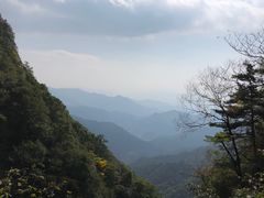 -王顺山国家森林公园