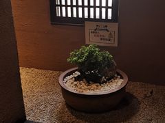 -千代武日本料理(爱建店)