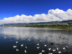 -青海湖国家重点风景名胜区
