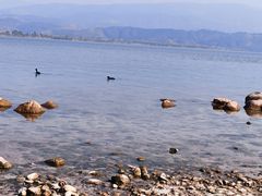 -西昌邛海湿地
