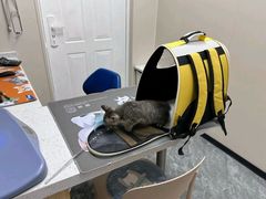 -芭比堂动物医院·CT·微创中心(新顺分院)