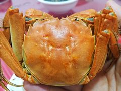 -喜洋洋蟹庄(阳澄湖店)