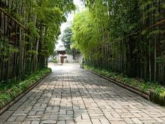 -龙潭水乡
