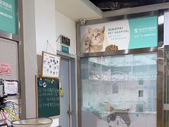 -瑞派宠物医院·内科·软组织·绝育中心(沈阳八纬路分院)