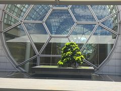 -夏苑(新加坡丽思卡尔顿美年酒店)