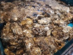 -拉完海鲜大排档(温岭店)