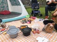 -前小桔亲子创意农场·草莓采摘·露营烧烤