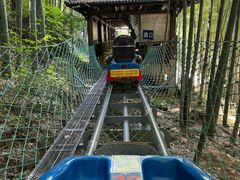 -藏龙百瀑风景区