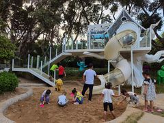 -银湖山郊野公园-相思林