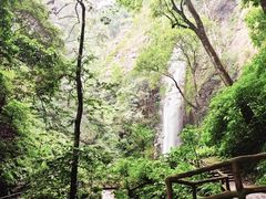 -莫里热带雨林景区