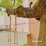 廣州 | 擁有200年樹齡樟樹，隱藏在市橋の咖啡民宿‼️