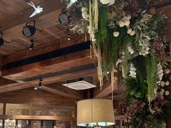 -一棵树·意大利西餐厅One Tree(新城店)
