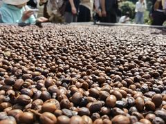 -Torch Coffee 炬点咖啡