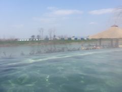 -苏州湾王焰温泉度假酒店