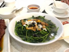 上汤番薯叶-富临皇宫(窝打老道店)