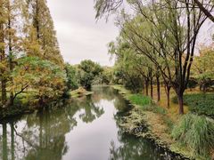 -昆山城市生态森林公园