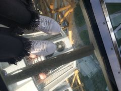 -影汇之星8字形摩天轮