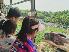 -西安秦岭野生动物园