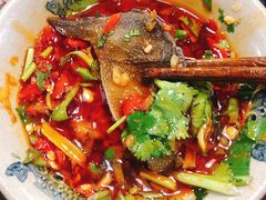 鲜毛肚-星鸿社重庆老火锅