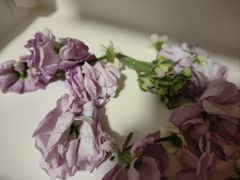 -5Cake五度无蔗糖低脂蛋糕(陶然亭店)