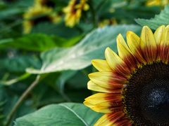 -奥林匹克森林公园北园-停车场