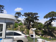 -罗红摄影艺术馆