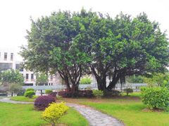 -福州大学(旗山校区)