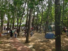 -天鹅湖生态旅游风景区