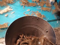 -星伦多 自助料理(圆融店)