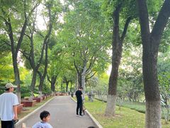 -汉水公园