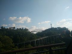 -金鸡山公园