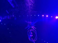 -珠海横琴长隆《卡卡虎奇遇记》