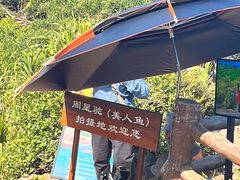 -杨梅坑